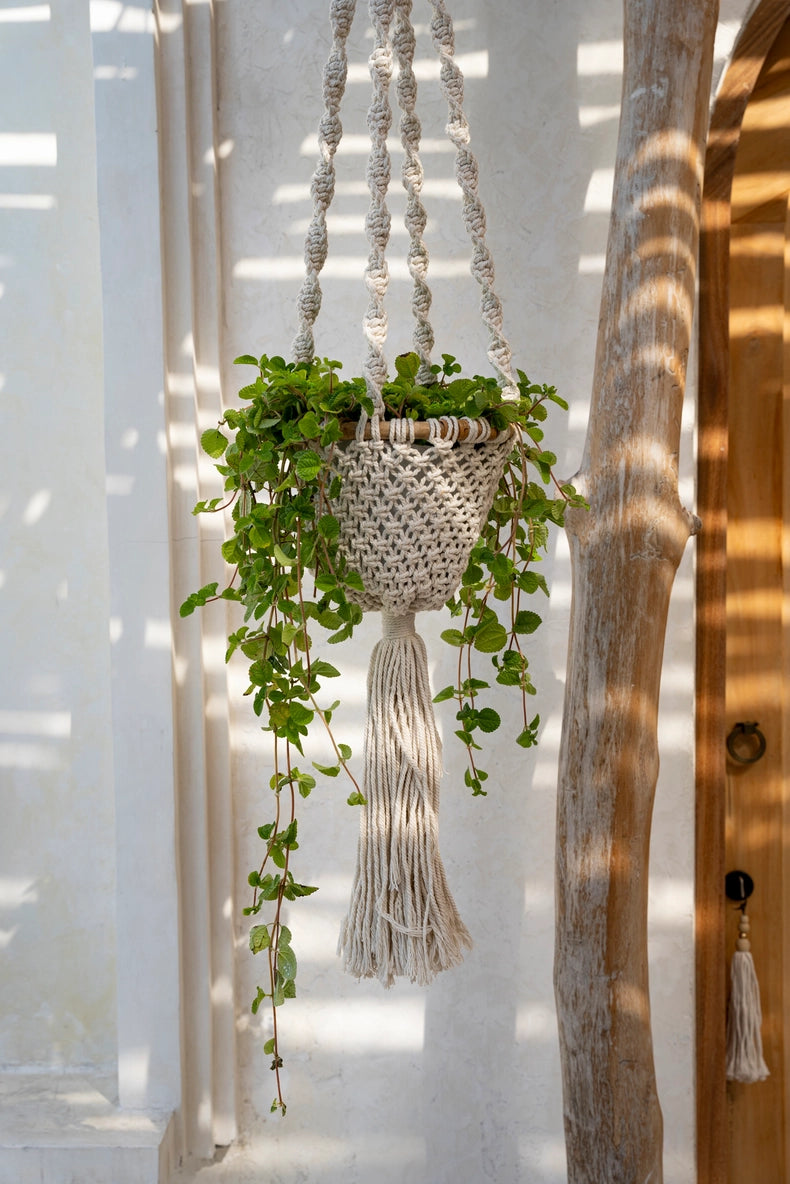 Natural White Macramé Twisted Plant Holder - Medium