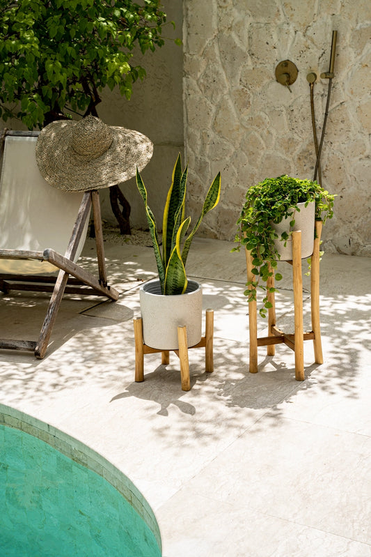 The Chalk Concrete Planter